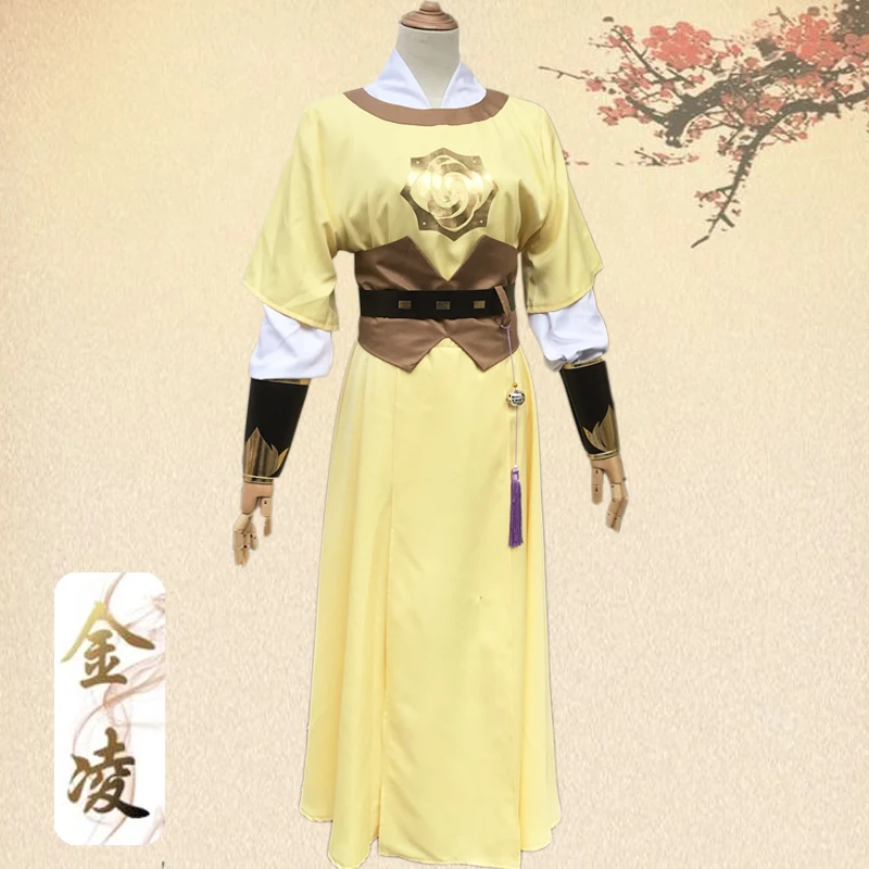 Mo Dao Zu Shi Jin Ling Cosplay - Synthetic Wigs recensie en prijs